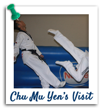 Chu Mu Yens Gallery